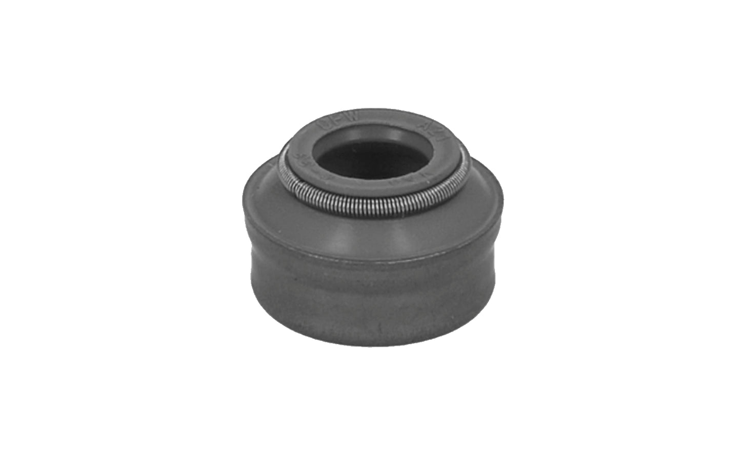 Anello di tenuta Iveco