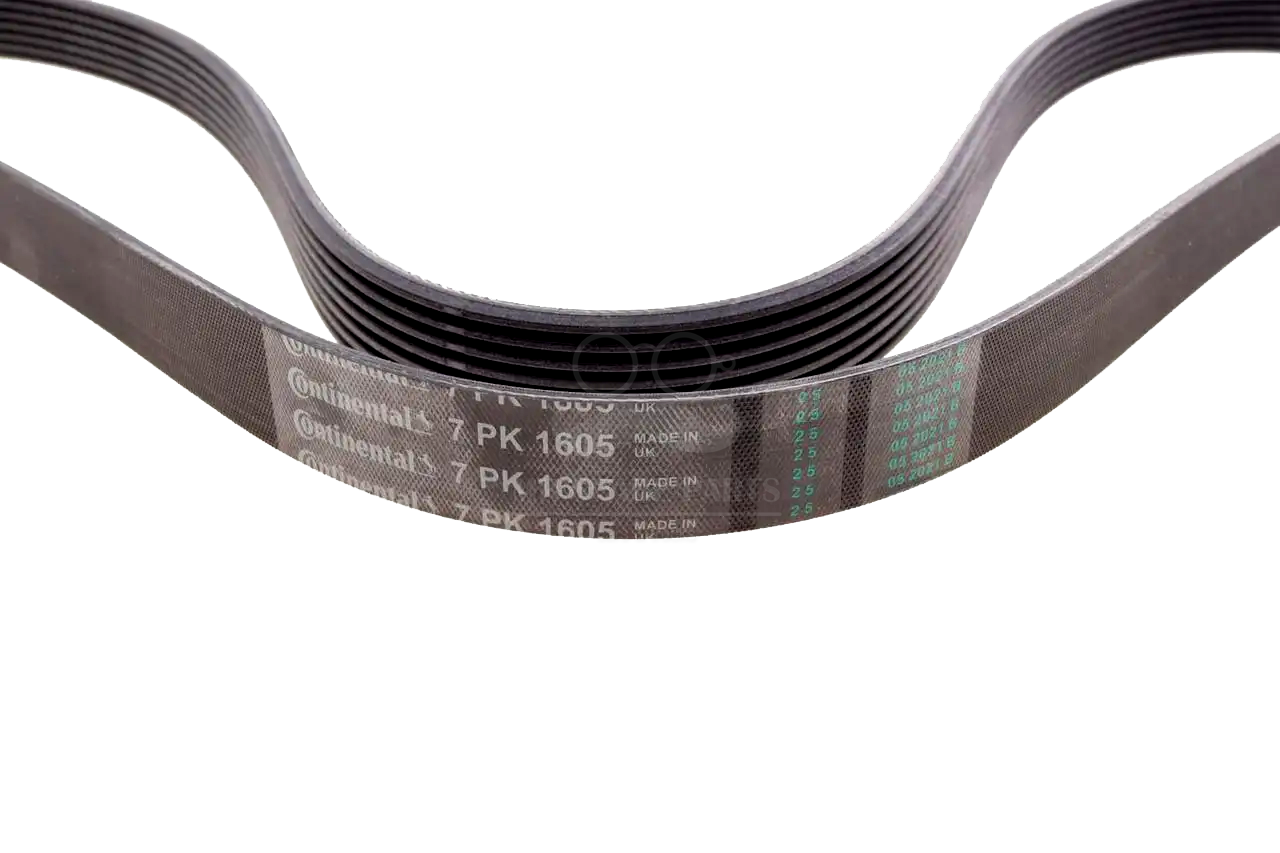 Cinghia Servizi Mot.Zd30 OE 7485138144