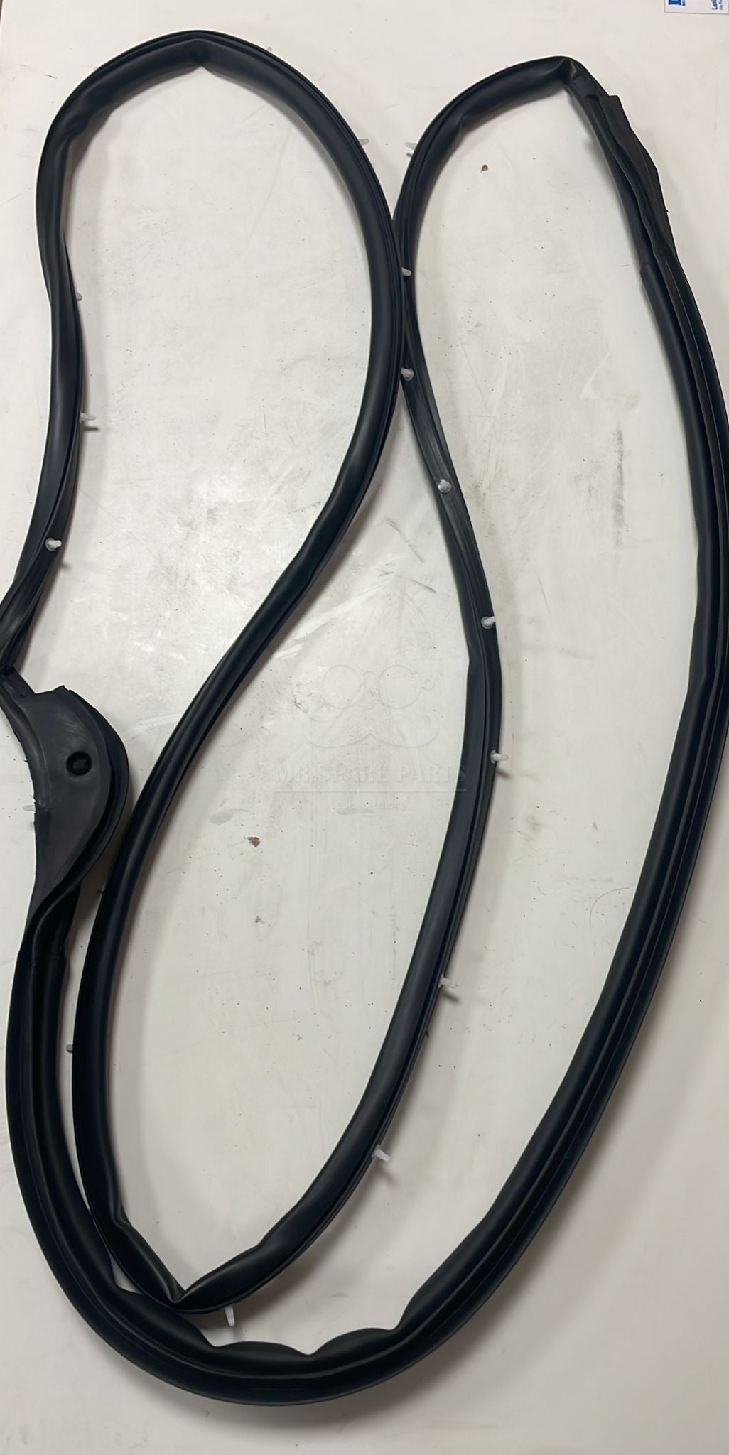 Guarnizione Porta Dx Evolution OE 8980291953