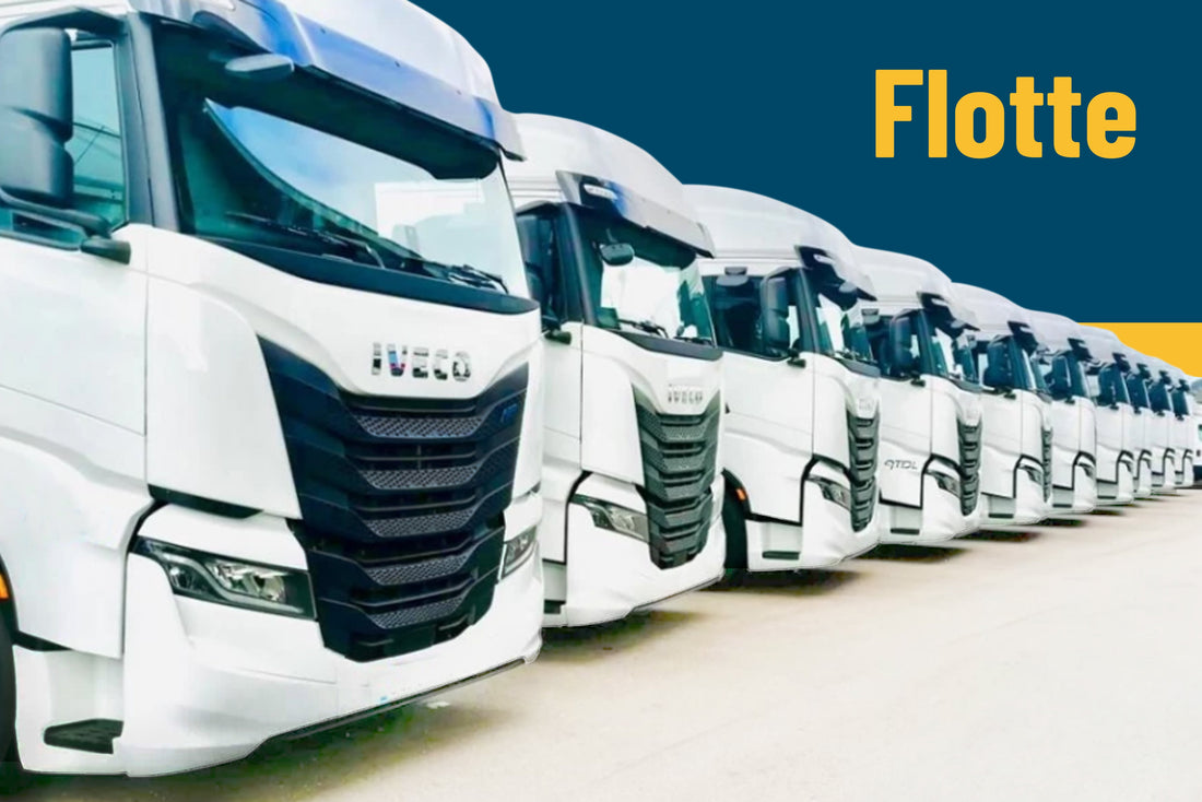 Ricambi per flotte Iveco, Fiat, Mercedes, Ford, SCANIA, DAF, Renault 