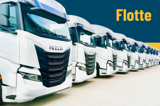 Ricambi per flotte Iveco, Fiat, Mercedes, Ford, SCANIA, DAF, Renault 