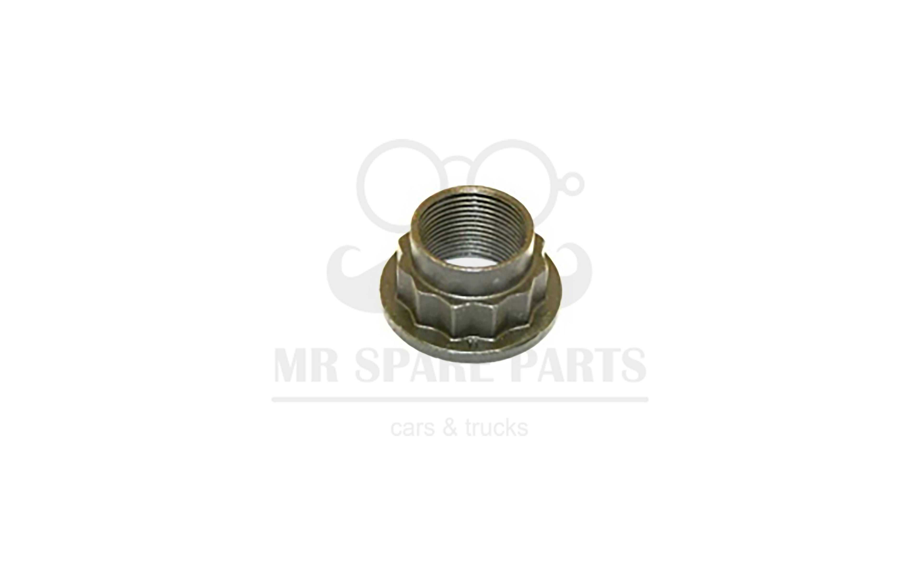 Pinion Differential Nut Iveco Daily 4X4 Range - 40.10-45.10 7162213