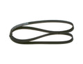 Cinghia Pompa Acqua Originale IVECO Daily - 500377890