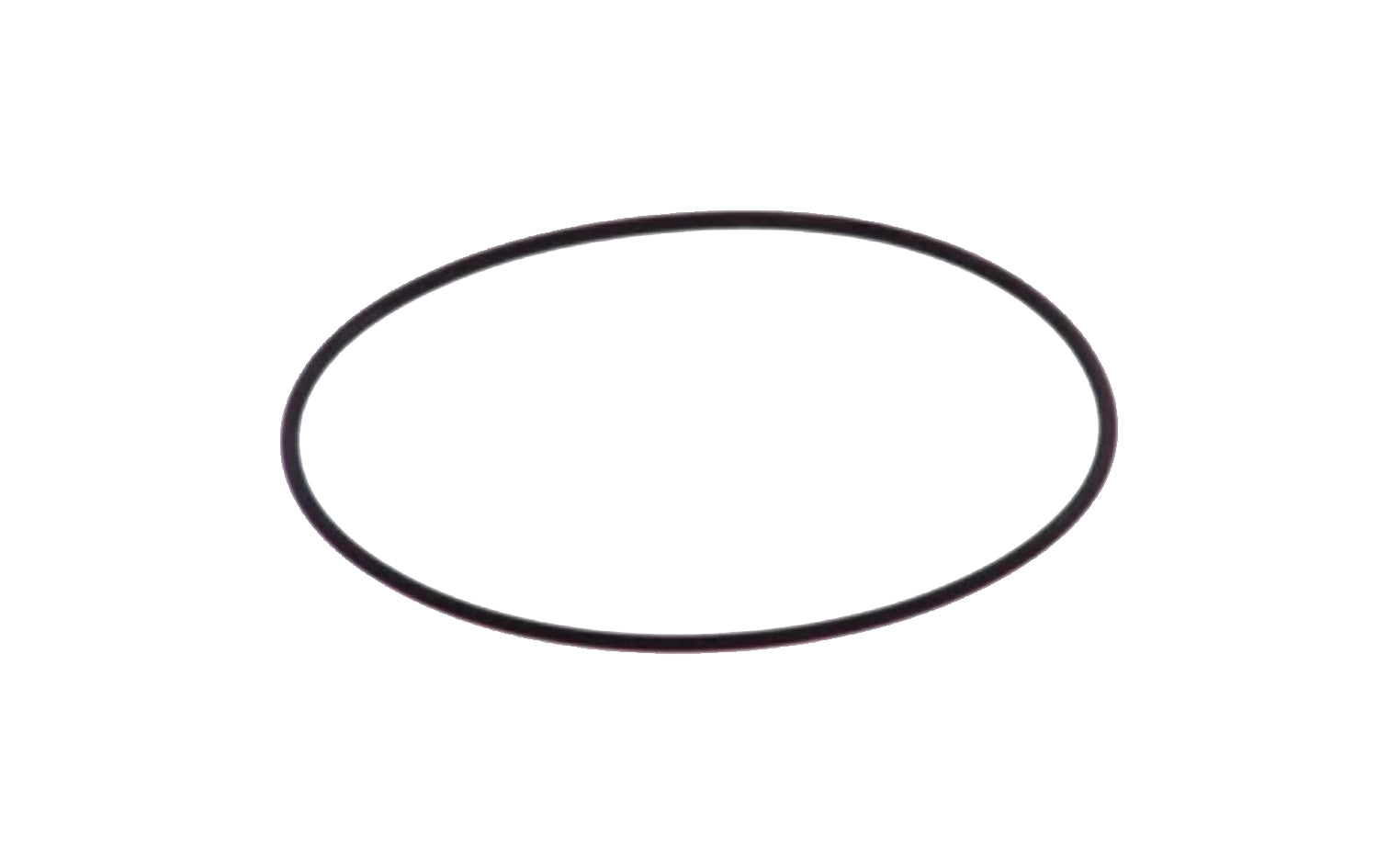 O-Ring Iveco