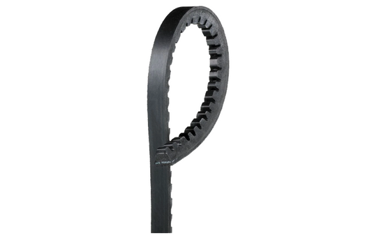 Cinghia Pompa Acqua Originale IVECO OE 500325464