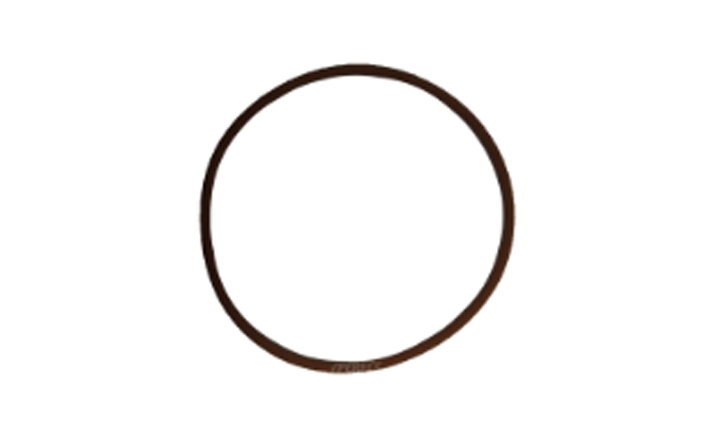 O-Ring Originale IVECO Â Cityclass Eurostar OE 17284681