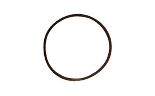 O-Ring Originale IVECO Â Cityclass Eurostar OE 17284681
