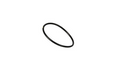 O-Ring Iveco