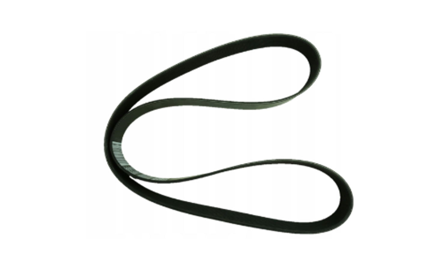 Cinghia Di Comando Originale IVECO OE 504049425