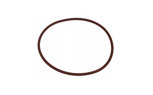 O-Ring Originale IVECO Daily OE 17291081