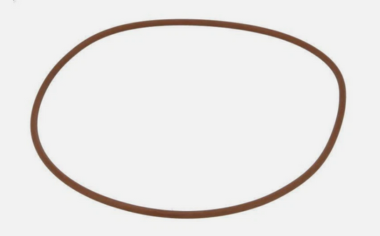 O-Ring Originale IVECO Trakker II OE 99455401