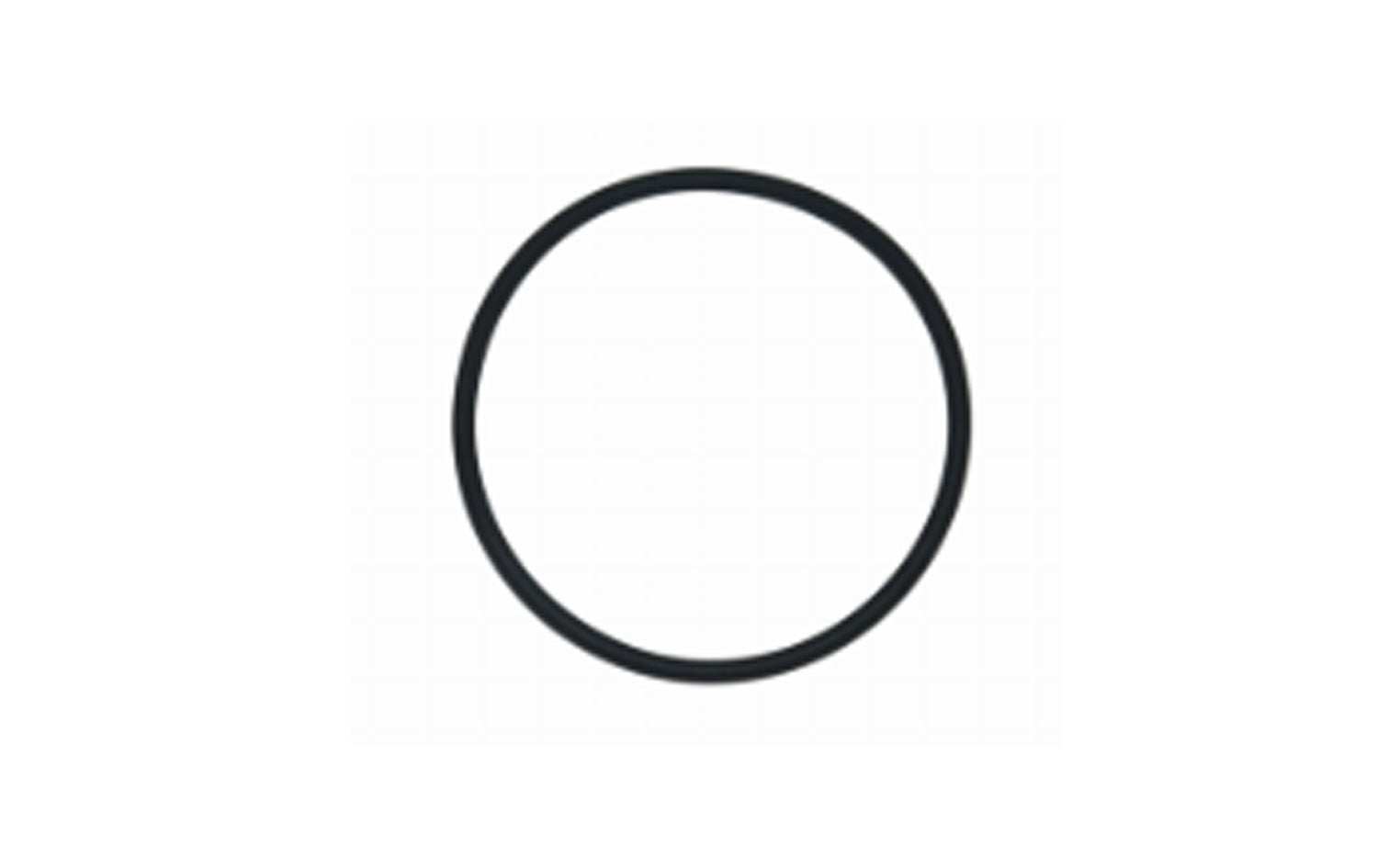 O-Ring Iveco