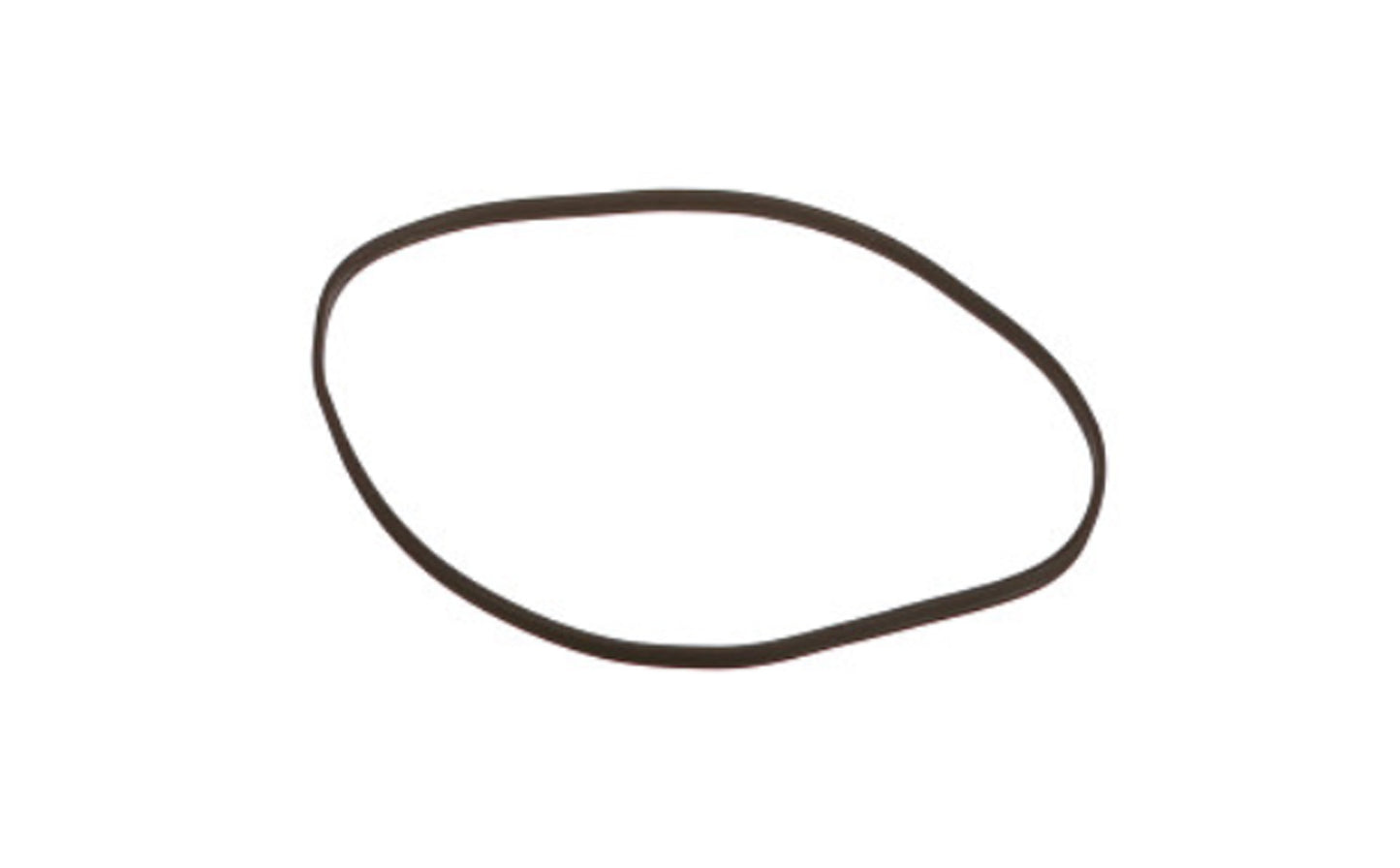 Guarnizione Piana Mo Originale IVECO OE 504387088