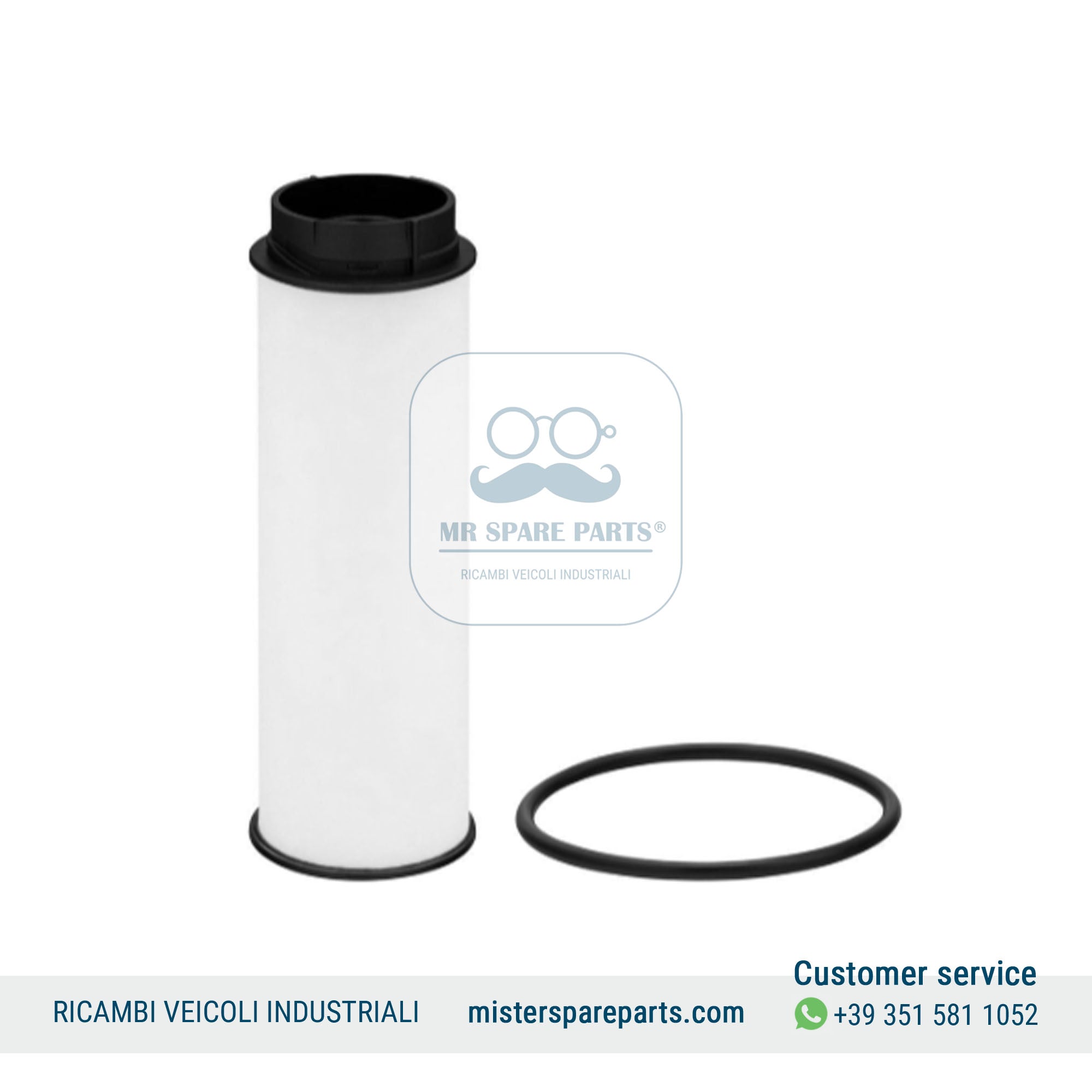 Filtro carburante IVECO Daily Cartuccia filtro OE 5802925674 5802050393