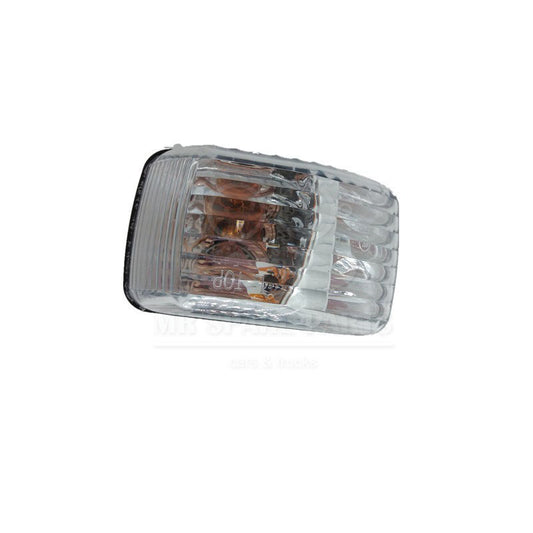 Fanale Freccia Ant. Sx Evolution OE 8974101813