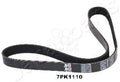 CINGHIA POLY-V EVOLUTION OE 8980316670