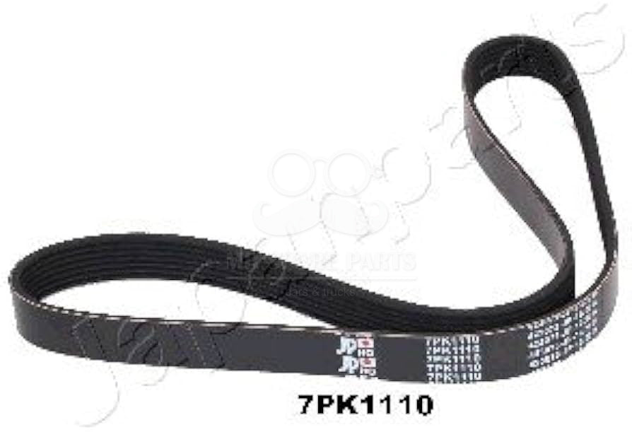 CINGHIA POLY-V EVOLUTION OE 8980316670
