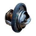 TERMOSTATO ACQUA PORTER OE 888775