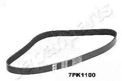 Cinghia Poly-V Npr-Evolution OE 8980384230