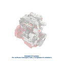 DEUTZ Gasket 4264146