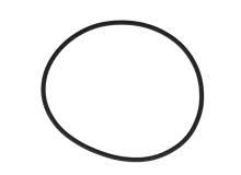 O-Ring Originale IVECO OE 17291781