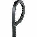 Cinghia Trapezoidale IVECO Originale VOLVO 240 P245 MAN ISUZU 500325464