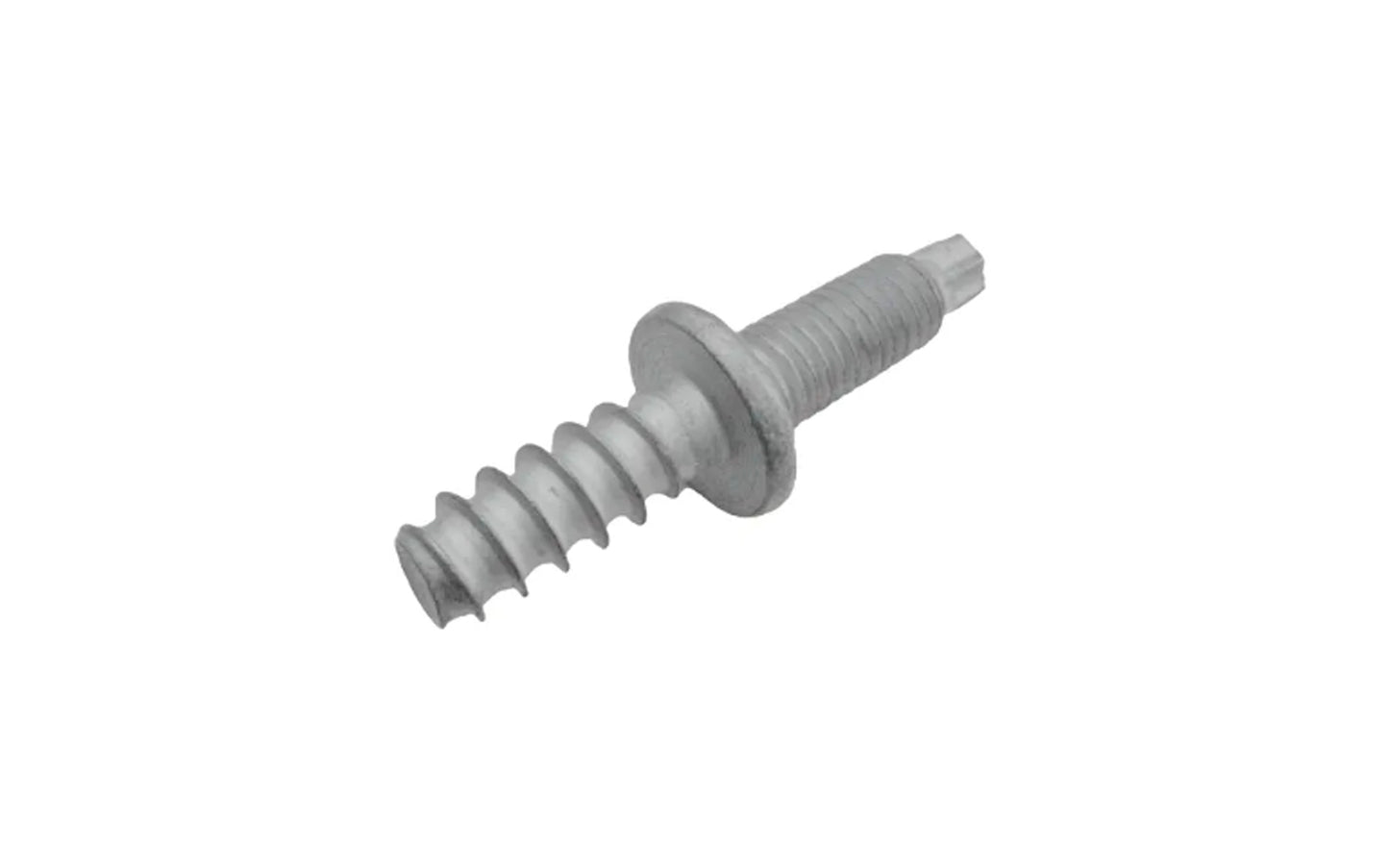 Vite Originale IVECO OE 504173483