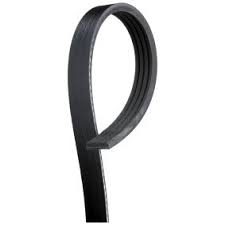 Cinghia Di Comando IVECO Originale OE 504388054