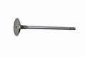 Valvola aspirazione Originale IVECO Daily 3.0 - 504072531