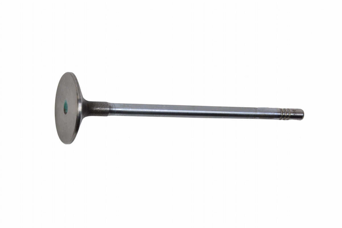 Valvola aspirazione Originale IVECO Daily 3.0 - 504072531