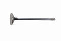 Valvola aspirazione Originale IVECO Daily 2.3 - 504069199