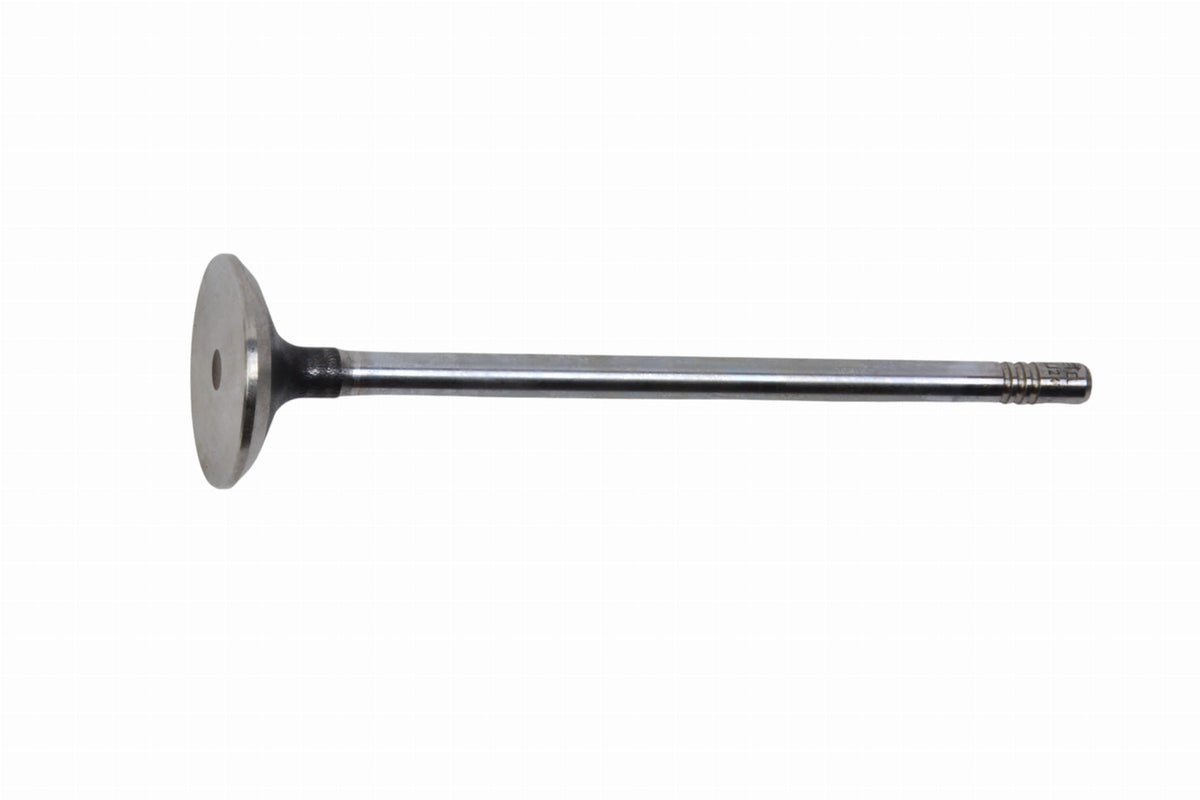 Valvola aspirazione Originale IVECO Daily 2.3 - 504069199